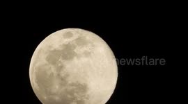Last Full Moon Of 2023 Dazzles Across Night Sky 8