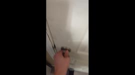 Dog Jumps Into Snowed-In Doorway