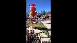 Inflatable Gingerbread Shenanigans: Spreading cheer with Amazon driver prank