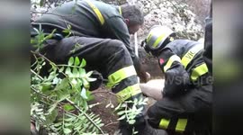 Rescue of A Stranded Dog from Treacherous Rocky Abyss in Cardedu, Italy