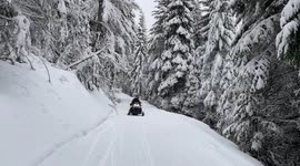 Ride through Snowy Panhandle National Forest in Idaho, USA