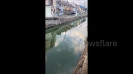 Japan: M7.5 Earthquake Hits Noto Peninsula Prompting Tsunami Warning