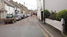 The start of the Four Burrow Hunt 2024, a traditional meet of foxhound dogs, horses and riders that is held every year on 1 January from the Silver Ball pub, St Columb Major, Cornwall, UK