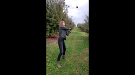 Rotten Apple Goes Splat