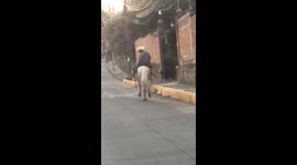 When Your Horse Is the Designated Driver