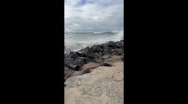 Waves hit the Crowd at the jetty Pacific Beach 12/30/23