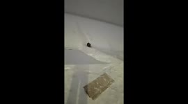 Adventurous senior takes on thrilling snowboarding in China's winter wonderland