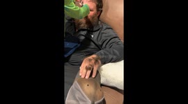 Tiny barber takes charge of his dad's hair transformation
