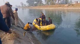 SDRF officials rescue cow from canal in northern India
