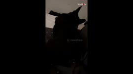 Ferocious Frenchie makes silence her biggest foe for absolutely no reason