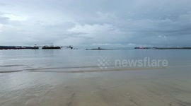 Crabs get organic matter from beach sand in Port Dickson, Malaysia