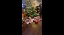 Boy experiences peak happiness & profound sadness within a span of seconds