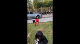 University Students Enjoy Festive Dog