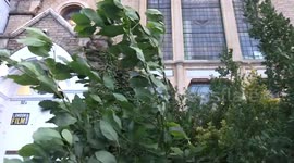 Gusts of wind outside London Film Academy in West London - Walham Grove