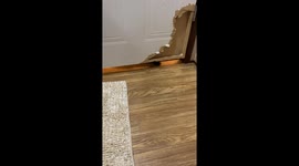 How Dare You Close The Door On Him