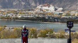 Ultraman cosplayer hits donkey while running and is knocked over