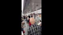 Playful runaway pet bird makes chaos on subway in southern China