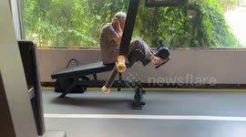 Super-fit grandmother, 80, does bench sit-ups in gym