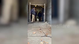 Adorable moment penguins are taken on a parade march through zoo
