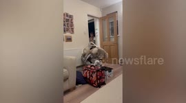 Adorable moment toddler meets baby brother for first time ever