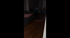 Joyful homecoming: happy pup causes table mishap