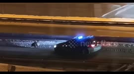 Police patrol in Mytishchi, Russia, safely escorts wild boar off highway and into forest