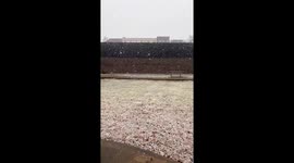 Winter's embrace: Old North St. Louis blanketed in snowfall