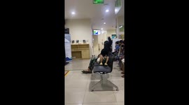 Cat carries kitten through health care center in Central Jakarta