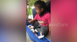 Little girl sways pet Jack Russel puppy on hammock