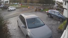 Motorist narrowly avoids being crushed by large tree during Storm Henk