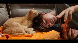 Ginger Kitten Thinks Owner Needs a Bath So He Cleans Him