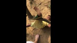 Tranquil resilience: Girl calmly trapped in tree trunk