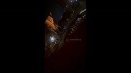 Bear Breaks Into Car