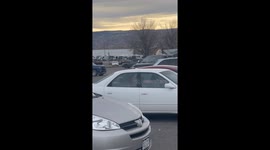 Great Pyrenees Tap Dances On Truck