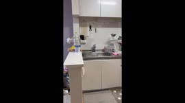New Years Day Earthquake Shakes Japanese Home