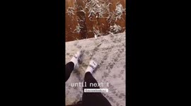 Christmas Tree Creates Chaos in Home