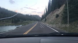 Playing Chicken with an Elk in the Rocky Mountains
