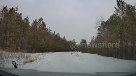 Passing Sledder Unexpectedly Crashes Into Parked Car