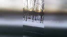 Man has face-to-face encounter with rare siberian tiger in snowy forest