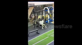 Chinese man narrowly dodges serious injury as barbell takes unexpected plunge onto his back