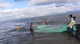 Whale shark tangled in fishing trawler 'ghost net' rescued in the Philippines