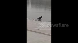 China: Woman Rescued After Falling Into Frozen Lake In Xianyang