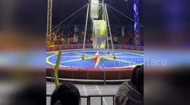 Acrobat falls from flywheel during circus show and breaks his hand