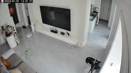 Cleaning robot gets revenge on messy pet dog by biting its TAIL