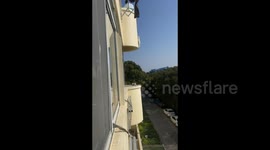 Brave Rescue in China: Woman Overcomes Fear of Heights to Save Stranded Cat