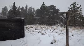 Denmark: Snowstorm Brings Blizzard Conditions To Northern, Western Regions 2