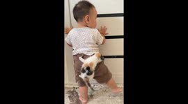 Kitten adorably clings on toddler
