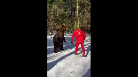 Man hilariously nutmegs bear in snow