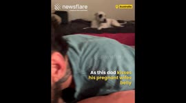 Jealous Dog Wants Kisses