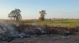Farmers burn fields to clear crops despite air pollution warnings in Thailand